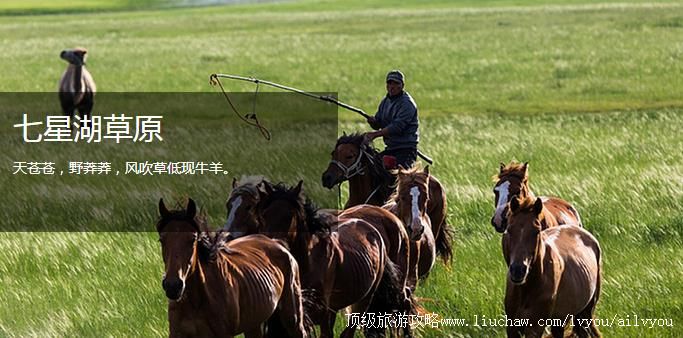 ���ɹ� �˰��� �������棺2��