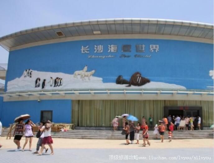 4A长沙海底世界旅游攻略