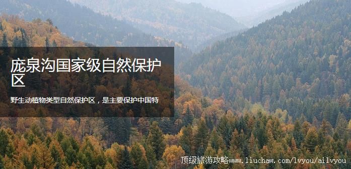 ɽ�� ����  �������棺1��