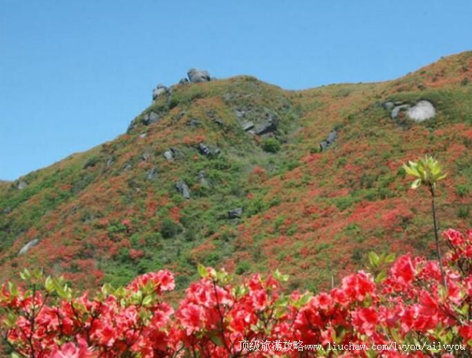 4A长沙大围山国家森林公园旅游攻略