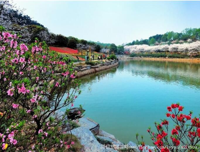 4A湖南省森林植物园旅游攻略