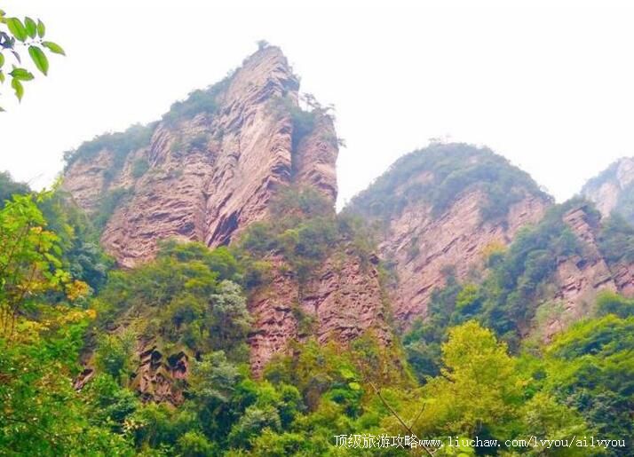 4A�żҽ��������������ι���