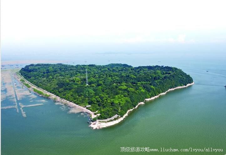 5A岳阳君山岛景区旅游攻略