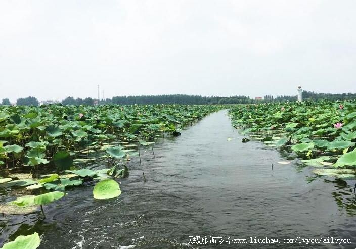 4A������ɽҰ���ɻ��������������ι���