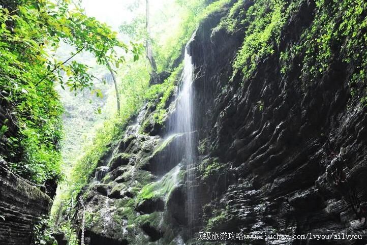 ��������Ͽ����ɭ�ֹ�԰���ι���