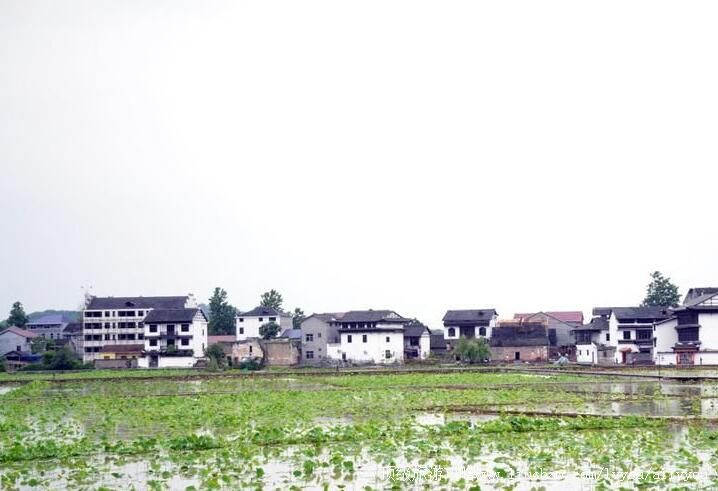 4A�������й������ι���