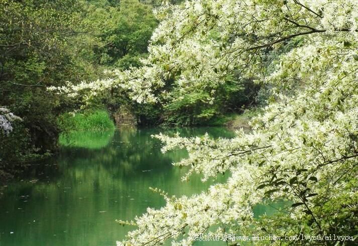 ����ӥ�����Ҽ���Ȼ���������ι���