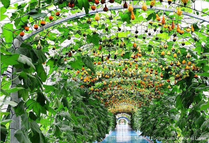 4A�����ŷ��ִ�ũ��԰���ι���