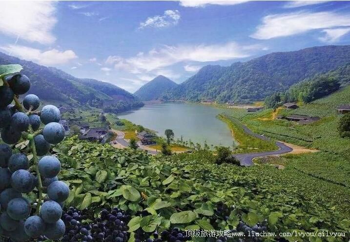 3A怀化中国南方葡萄沟旅游攻略