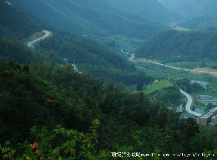 ��������ɽ����ɭ�ֹ�԰���ι���