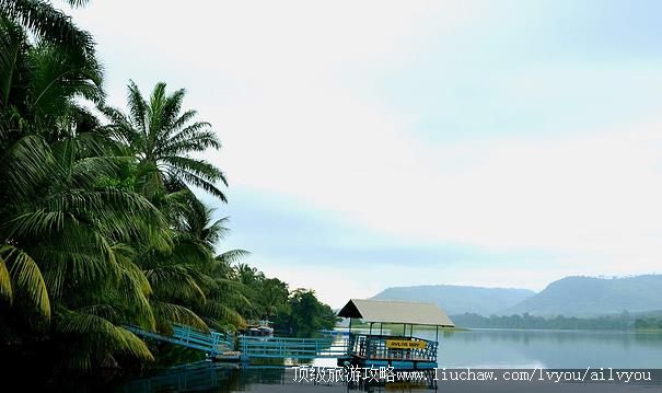 ���� �������棺1��