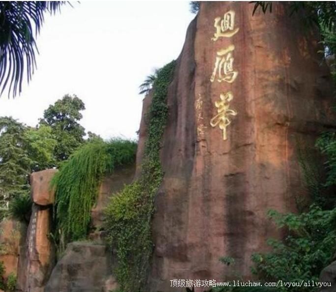 3A�����л���徰�����ι���