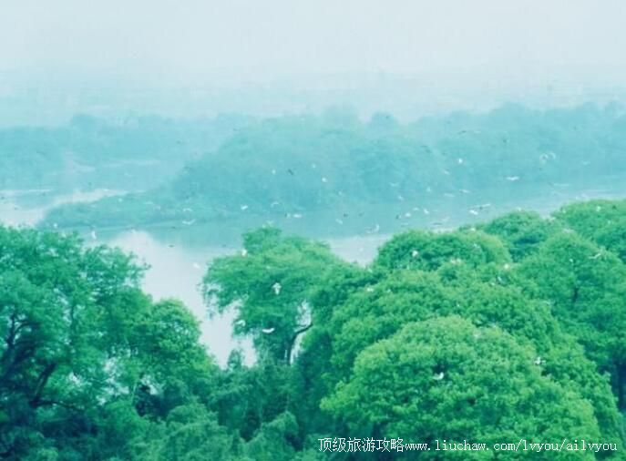 3A���������������ι���