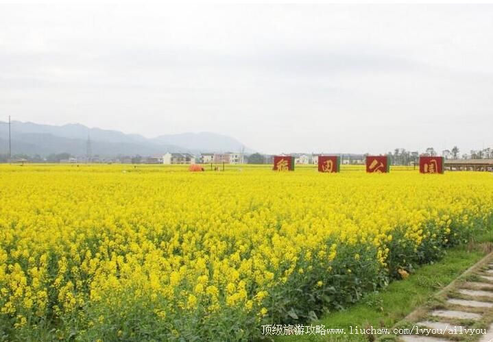 4A郴州安仁稻田公园旅游攻略