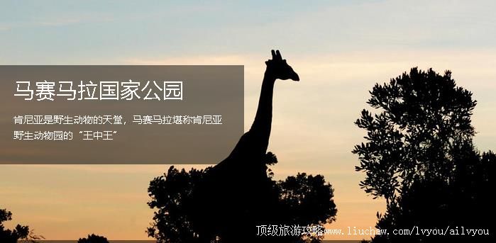 ������ �������棺6��