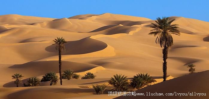 ������ �������棺1��