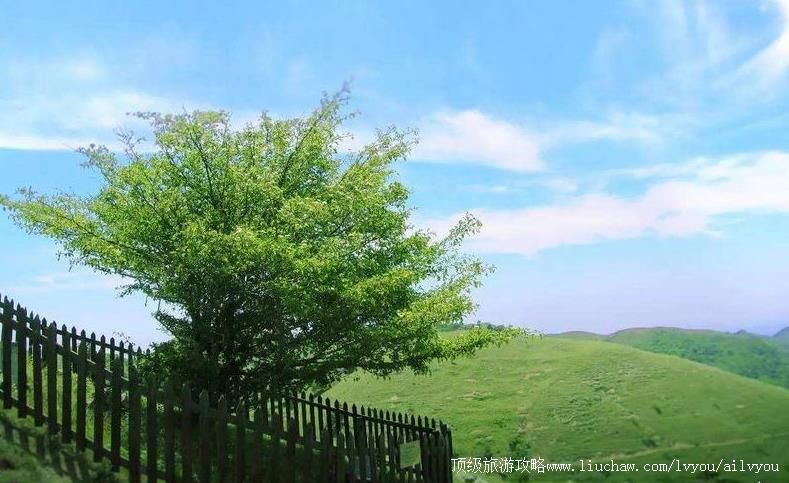 4A湖北宜昌百里荒高山草原旅游区旅游攻略