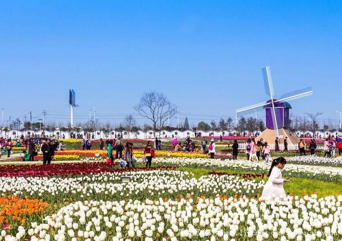 4A����Т�н��ׯ԰�ȼ������ι���