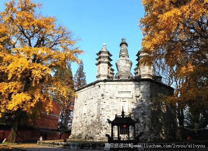 ����������������ι���