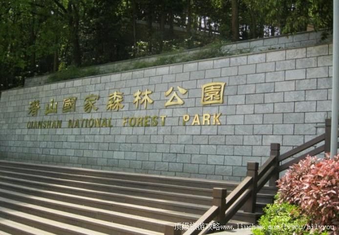 2A��������Ǳɽ����ɭ�ֹ�԰���ι���