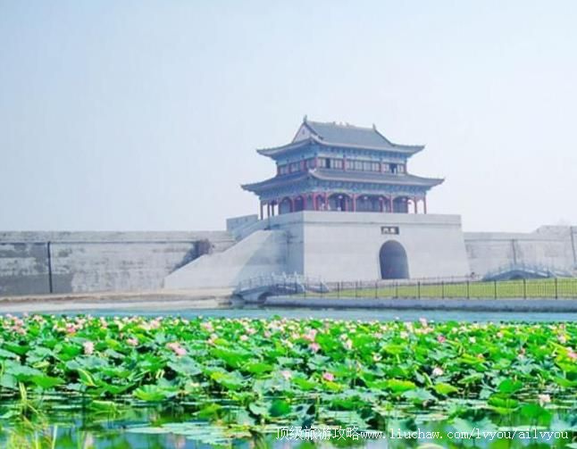 2A��������������������ι���