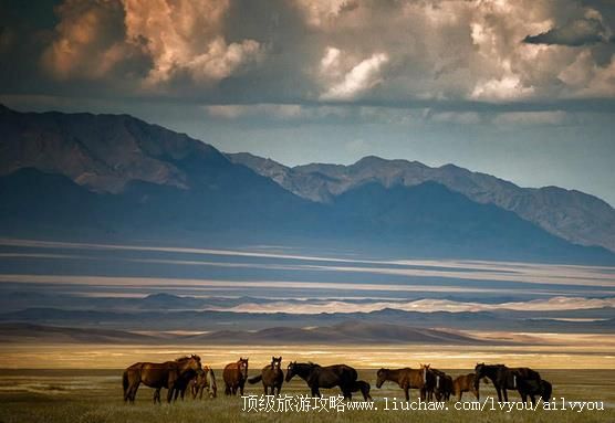 ������˹̹ �������棺1��