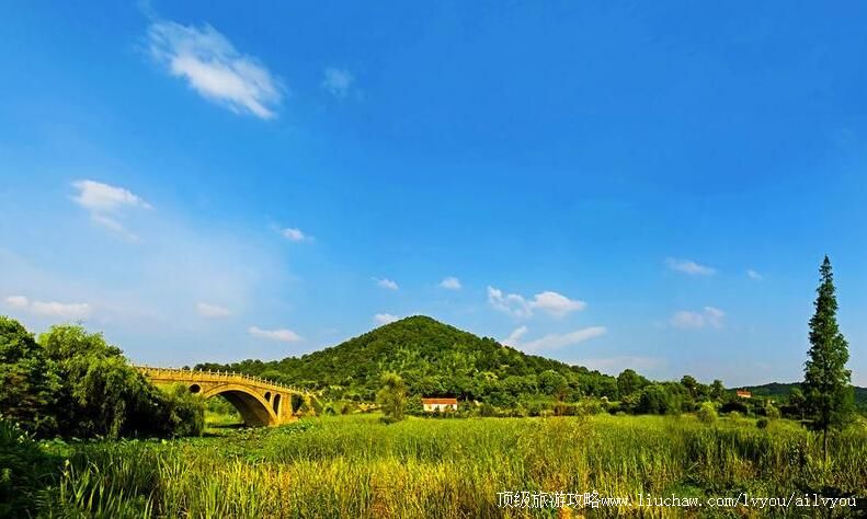 �����人����ɽɭ�ֹ�԰���ι���