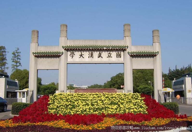 �����人��ѧ���ι���