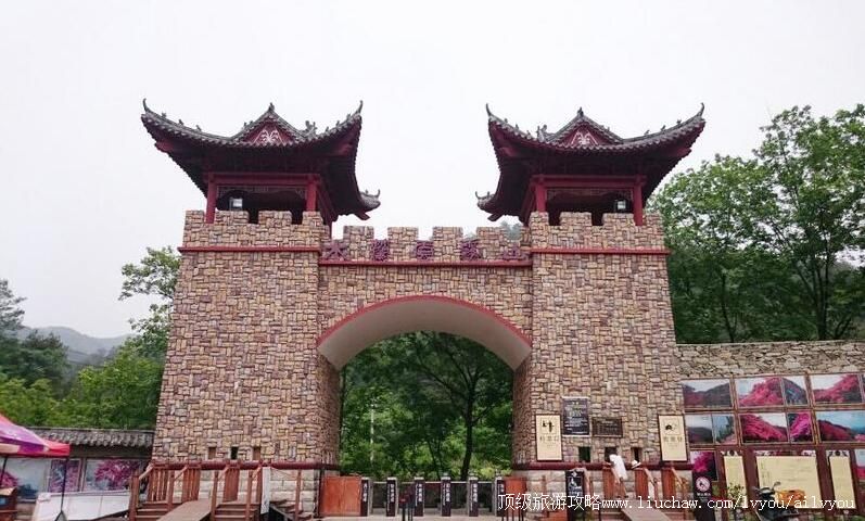 5A�����人ľ������ɽ�羰��