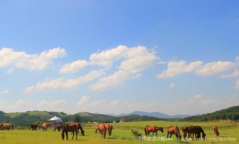 5A�����人ľ����ԭ�羰�����ι���