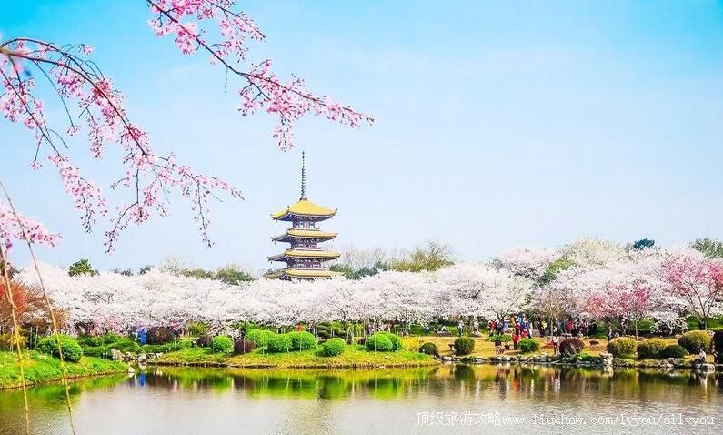 5A�����人����ĥɽ�������ι���