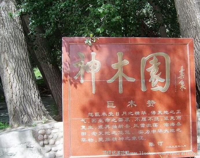 4A新疆天山神木园旅游攻略