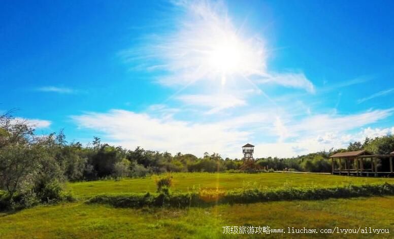 4A�½���ʲɳ����ʪ�ع�԰���ι���