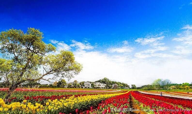 4A湖北武汉黄陂木兰花乡景区旅游攻略