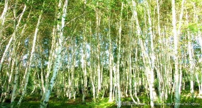 1A�½���Ӱ��빫԰���ι���