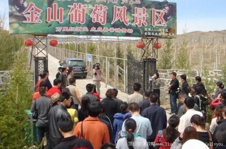 2A新疆金山葡萄风景区旅游攻略