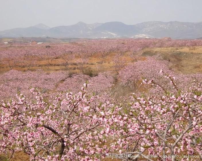 湖北随州尚市桃花风景区旅游攻略
