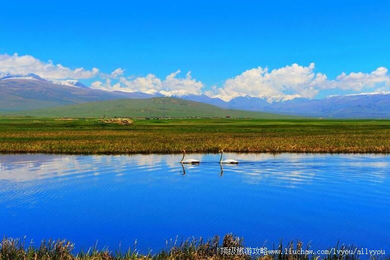 �½�������³���������ι���