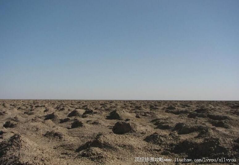 �½��޲������ι���