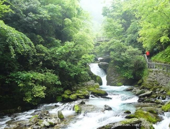 5A������ũ����ϪԴ�������ι���