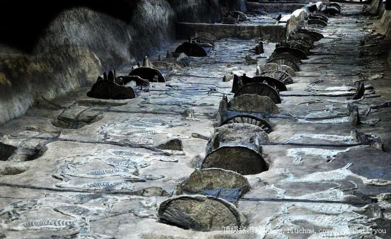 4A�������ݳ��������������ι���