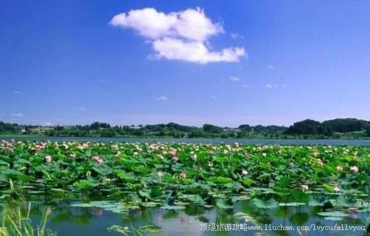 4A�������������̬԰���ι���