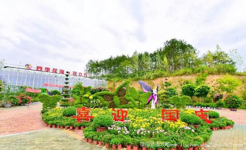 4A湖北英山四季花海景区旅游攻略