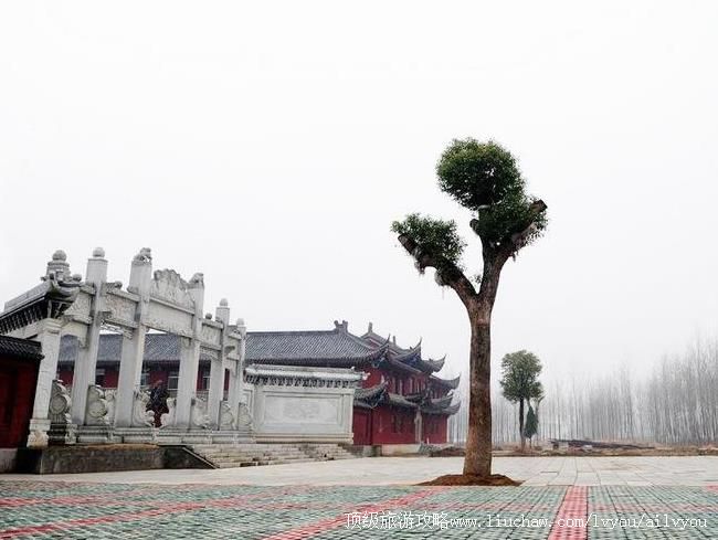 4A����ޭ����ʱ��ҽ���Ļ������������۾������ι���