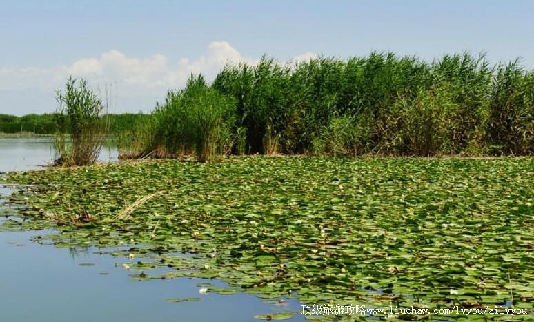 3A�½���������������������ι���