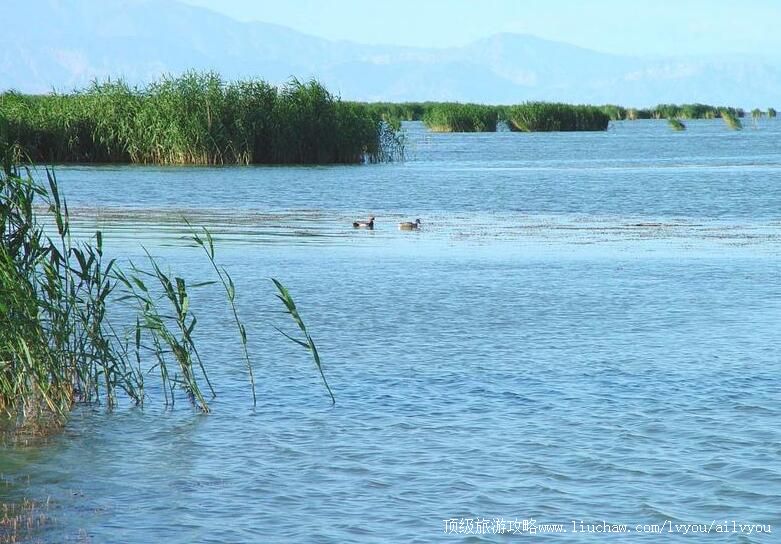 5A�½���˹�ں����ι���