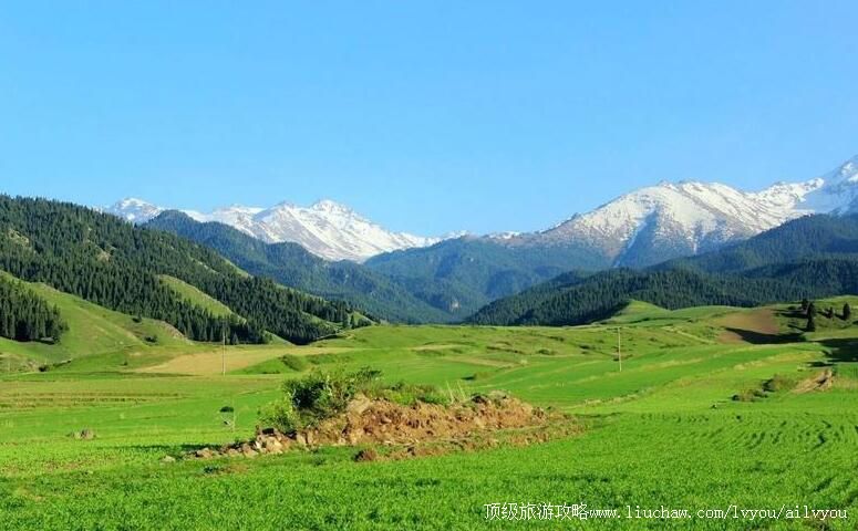 3A�½���ʦ�ŵ�����ɭ�ֹ�԰���ι���