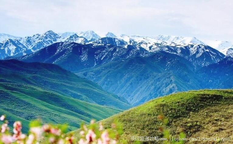 4A�½�����ԣ��Ͷ�³�˷羰�����ι���