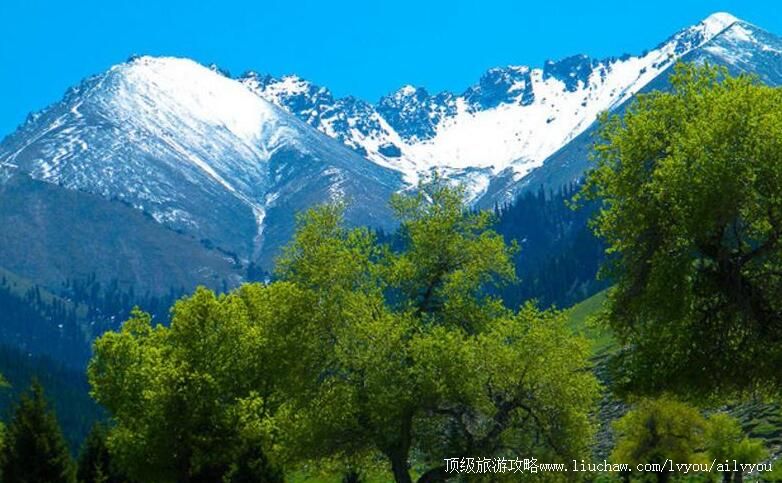 4A新疆乌苏佛山国家森林公园旅游攻略