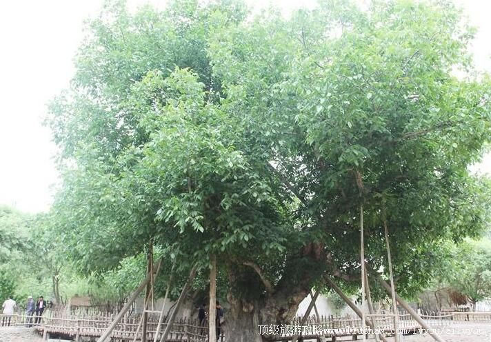 3A�½�����������������ι���